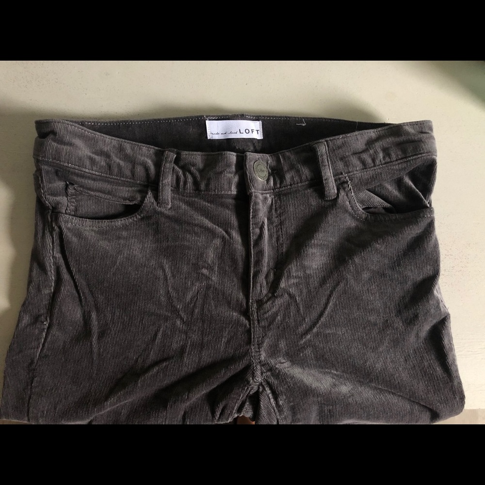 Loft pants